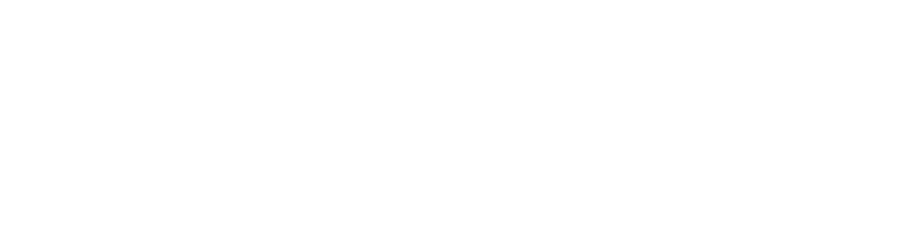 VL IC